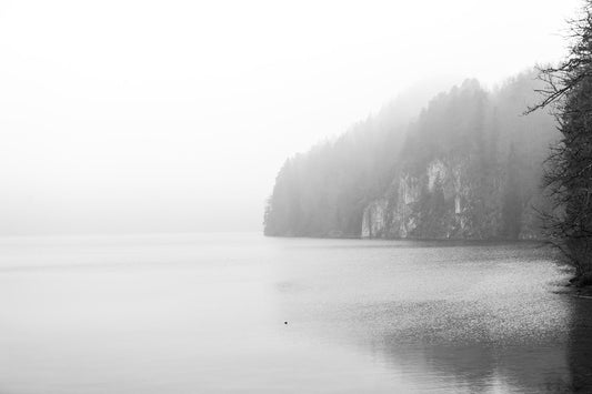 Foggy German Lake